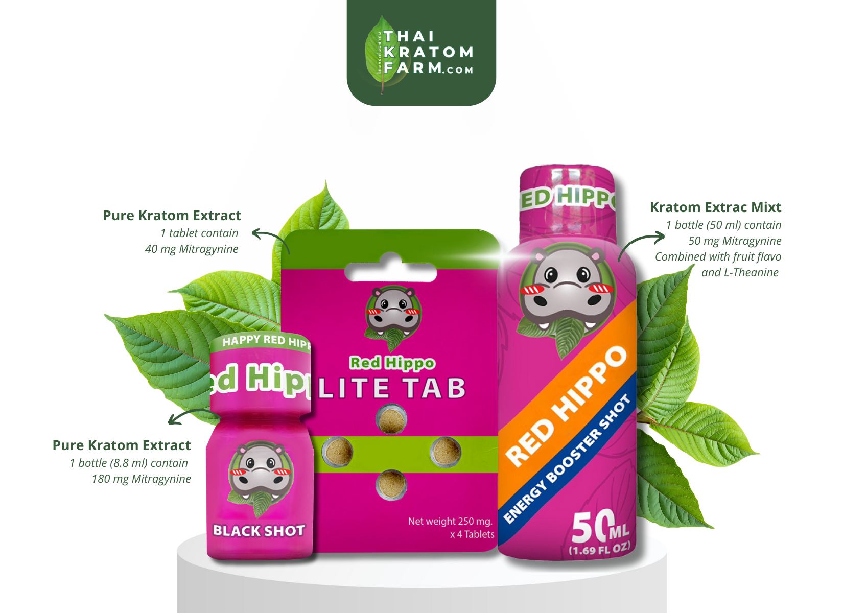 สรรพคุณของกระท่อม (Kratom)