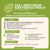 กระท่อมผงสกัดเย็น ฉีกชงดื่ม (Kratom Powder)