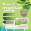 กระท่อมผงสกัดเย็น ฉีกชงดื่ม (Kratom Powder)
